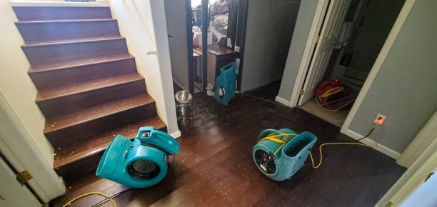 Best Flooded house restoration  in Portland, ME