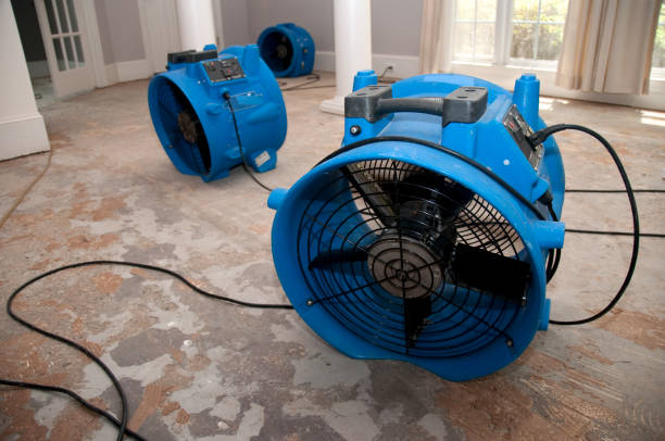 Best Professional water damage repair  in Portland, ME