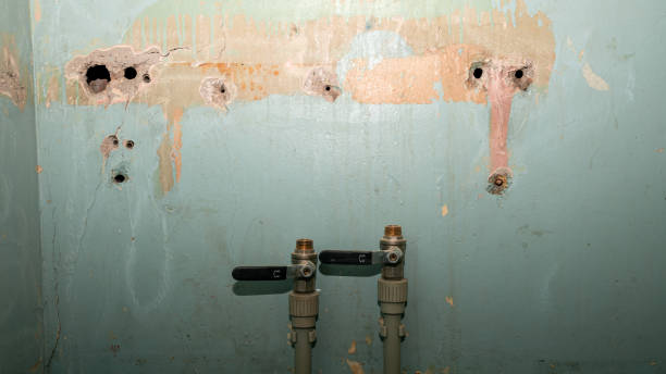 Best Ceiling water damage repair  in Portland, ME