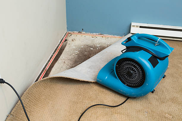 Best Flood restoration services  in Portland, ME